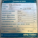 CALDEIRA Á GÁS 10 T/H