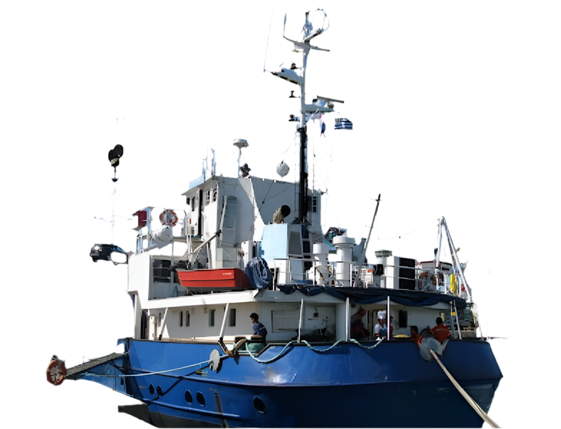 NAVIO CONTEINEIRO &  CARGA GERAL