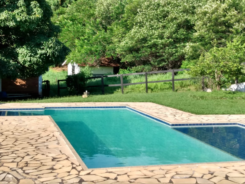 HARAS 11300 ALGUEIRES RJ