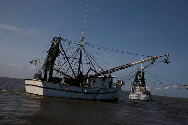 BARCO PESQUEIRO  DE CAMARÃO