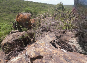 MINA DE FERRO E MANGANÊS Á VENDA