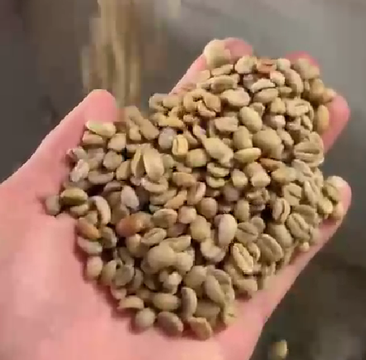 CAFÉ EM GRÃOS