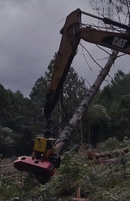 ESCAVADEIRA CAT COM CABEÇOTE MULTIDIRECIONAL JDS - 2015 / PR
