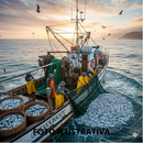 NAVIO DE PESCA (TRAINEIRA)