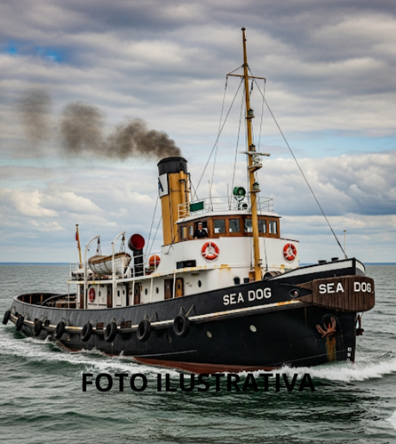 REBOCADOR - 1050 HP