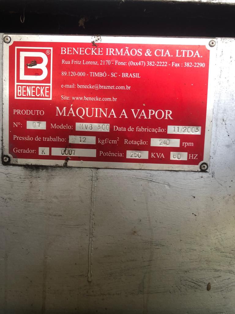 CALDEIRA 10KG, GERAÇÃO A VAPOR BENECKE MV8 300, 2003, PA