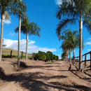 HARAS 11.300 ALQUEIRES RJ