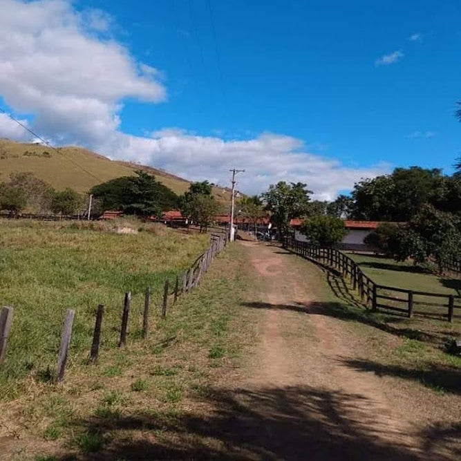 HARAS 11300 ALGUEIRES RJ