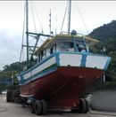 EMBARCAÇÃO DE PESCA CAMARÃO ROSA