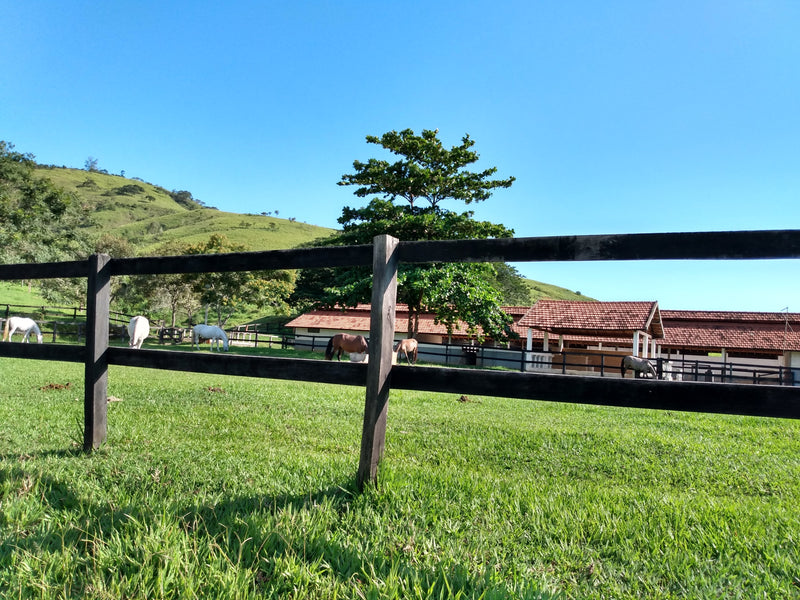 HARAS 11300 ALGUEIRES RJ