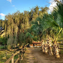 HARAS 11.300 ALQUEIRES RJ