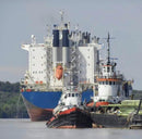 REBOCADOR 3800 HP -  VENDA