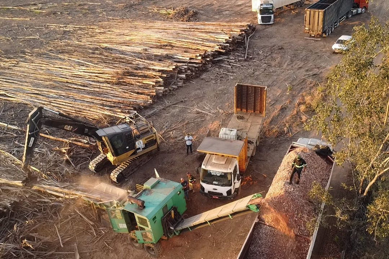 PICADOR FLORESTAL  500x800 PLANALTO,  2014, GOIÁS