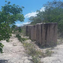FAZENDA GRANITO, ÁGUA MARINHA, ARGILA BRANCA, FLORESTA CANDEIAS