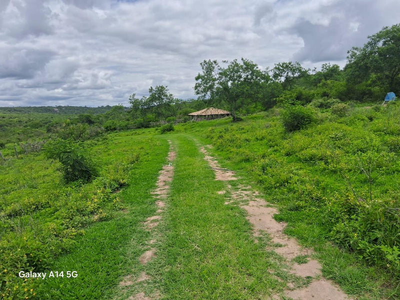 FAZENDA GRANITO, ÁGUA MARINHA, ARGILA BRANCA, FLORESTA CANDEIAS
