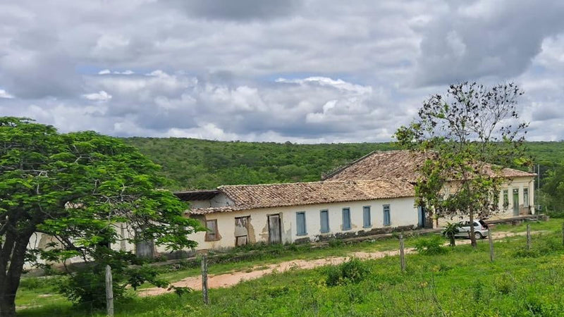 FAZENDA GRANITO, ÁGUA MARINHA, ARGILA BRANCA, FLORESTA CANDEIAS
