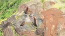 MINA DE  FERRO, MANGANÊS, OURO / TOCANTINS