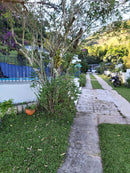 PROPRIEDADE ESPAÇOSA EM SODRELÂNDIA / TRAJANO DE MORAES / MACAÉ