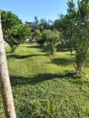 PROPRIEDADE ESPAÇOSA EM SODRELÂNDIA / TRAJANO DE MORAES / MACAÉ