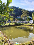 PROPRIEDADE ESPAÇOSA EM SODRELÂNDIA / TRAJANO DE MORAES / MACAÉ