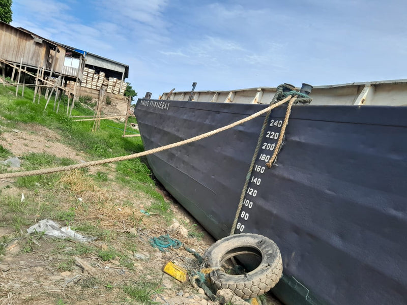 EMPURRADOR FLUVIAL & BALSA CARGA GERAL