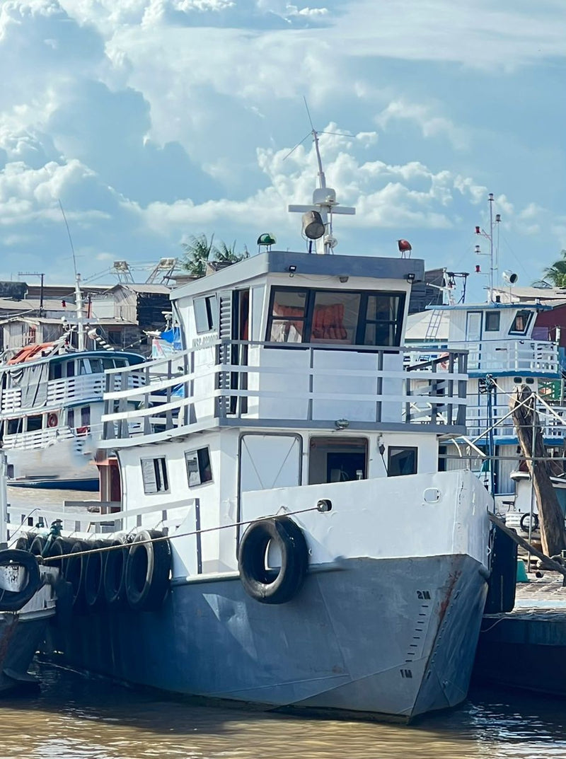 EMBARCAÇÃO  DE APOIO PORTUÁRIO 560 HP
