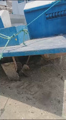 LANCHA RÁPIDA  8 PAX, RN