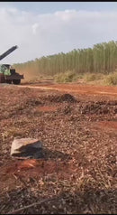 SKIDDER FLORESTAL JOHN DEERE 848H – 2013 / MS