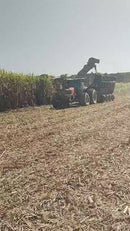 COLHEDORA  DE CANA CASE 9000,  2022,  SÃO PAULO