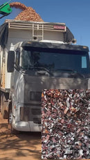 PICADOR FLORESTAL  500x800 PLANALTO,  2014, GOIÁS